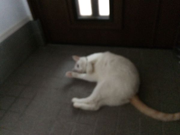 rblog-20151009062646-01.jpg