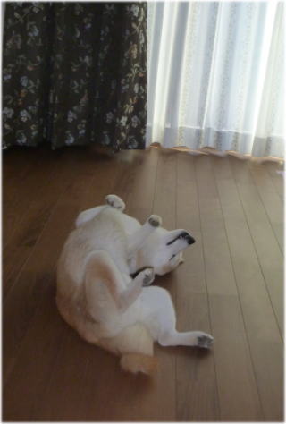bed茶4.jpg