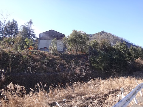 DSC07428.JPG