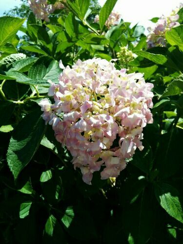rblog-20170706145110-03.jpg