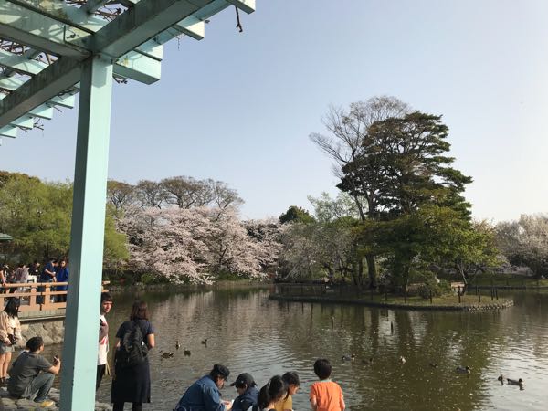 rblog-20180329185446-05.jpg