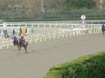 P1050033 (400x300).jpg