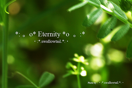 Photo by swallowtail　B.jpg
