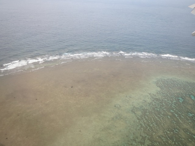 珊瑚礁