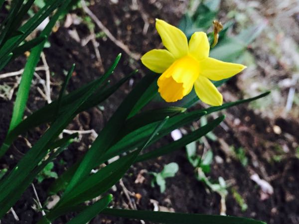rblog-20170224180633-01.jpg
