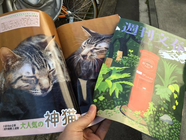 サトイモーズ　文春に