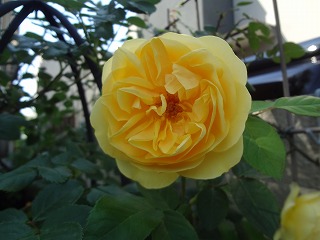DSC05190.jpg