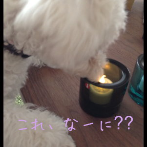 IMG_5011.png