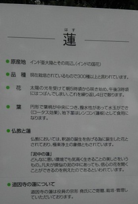IMAG0198.jpg