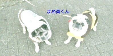 003.JPG