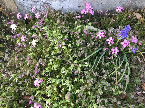 rblog-20180325184635-06.jpg