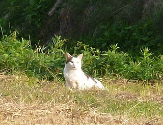 P1260158-ass.jpg