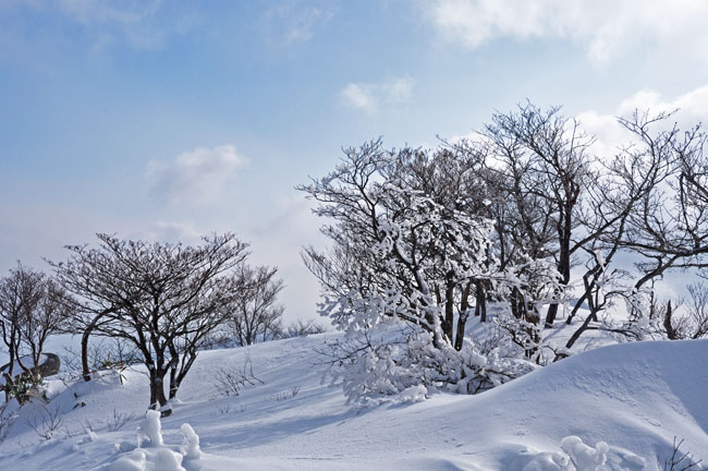 雪７