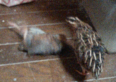 20150820(4)