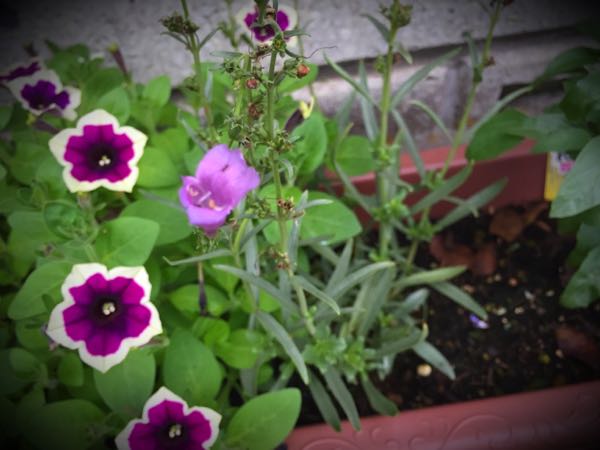 rblog-20160627195701-09.jpg