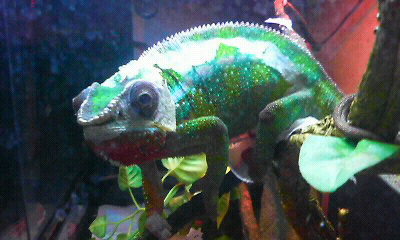 P1010100.JPG