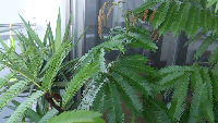 rblog-20130821151412-02.png