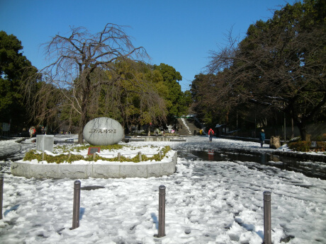 上野公園の雪景色