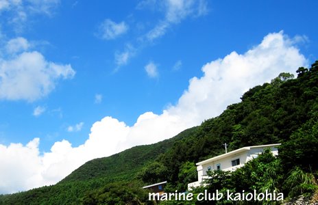 入道雲とマリンクラブ　カイオロヒア