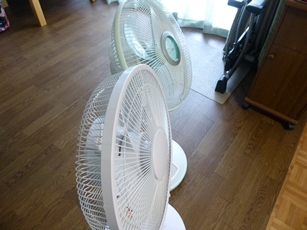 P1050001.JPG