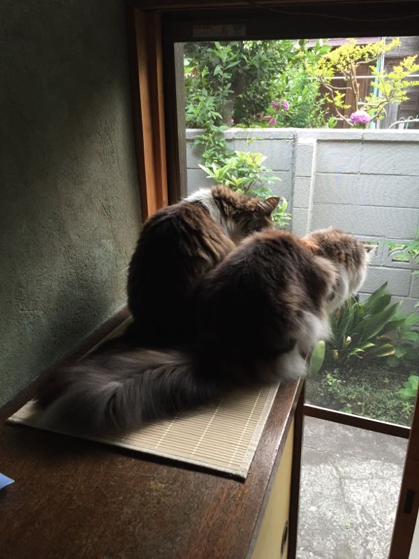 rblog-20150614073936-03.jpg