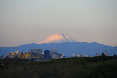 IMG_0790.jpg
