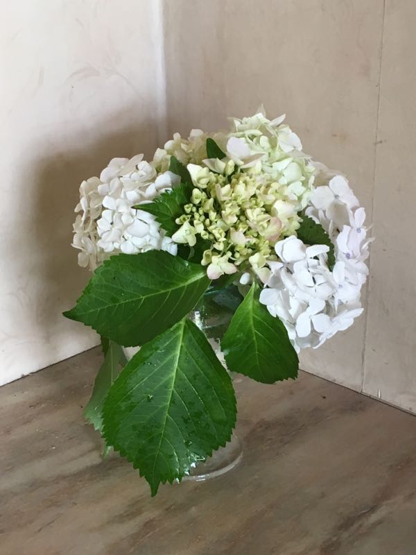 rblog-20180622221454-00.jpg