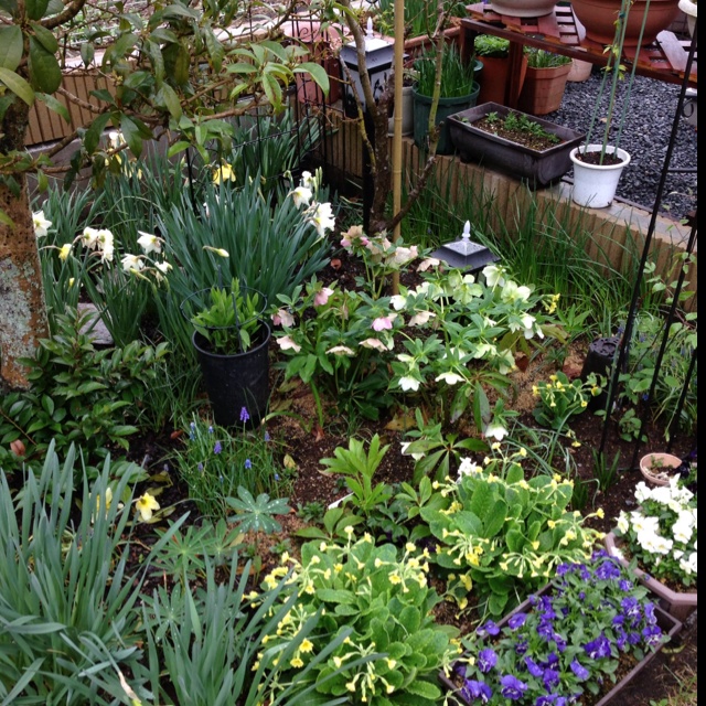 rblog-20130407234251-01.jpg