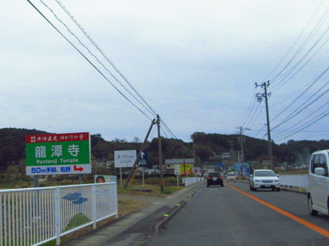 IMG_8950.JPG