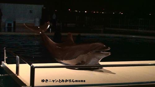 20120723202924(2).jpg