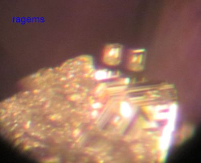 Inclu cal twin6.jpg