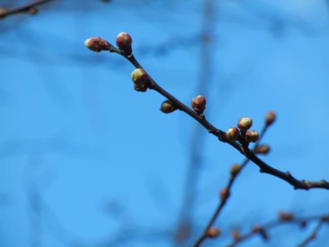 DSCN6792.JPG