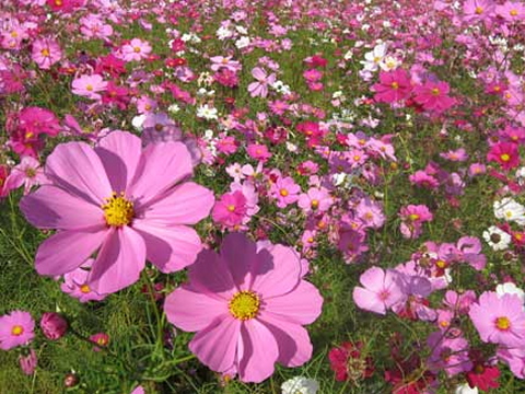 20101210_1733891.jpg