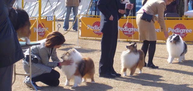 P1030410 - コピー.JPG