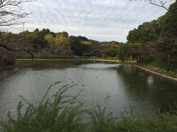 三ツ池公園_2