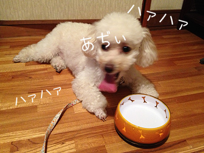 20130804_04.jpg
