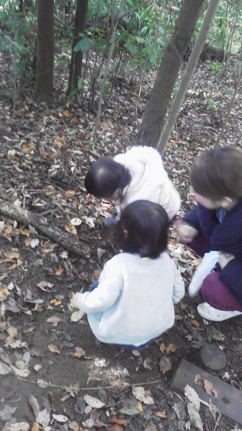 2014112111290000.jpg