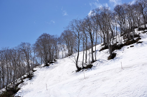雪山５