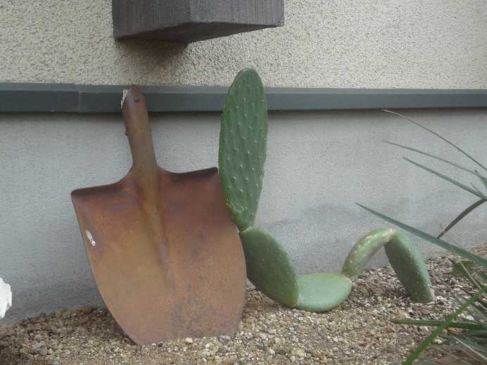 第0回 ぐうたらおっさんとサボテン くねくねウチワサボテン まっ いっか流 お庭改造 大作戦 楽天ブログ