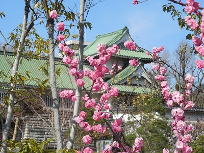 松川３.jpg