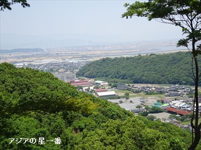 20160523 有明湾干潟16