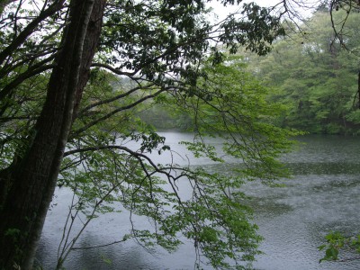 雨ならではの風景.jpg