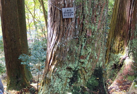 IMG_7151.JPG