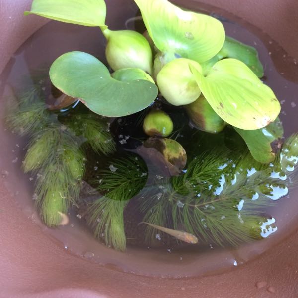 rblog-20150914083559-02.jpg