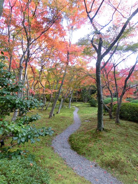 20141125150355.jpg