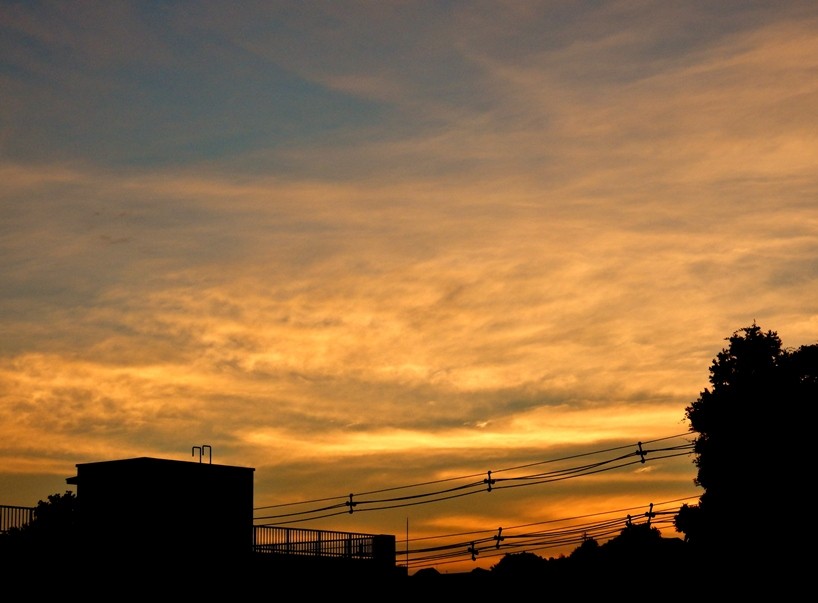 夕暮れ4.JPG