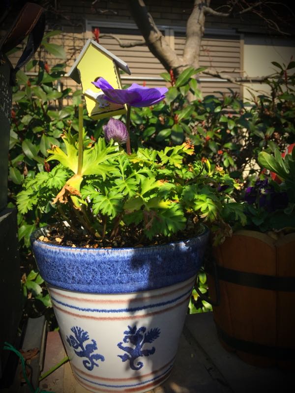 rblog-20150227215930-01.jpg