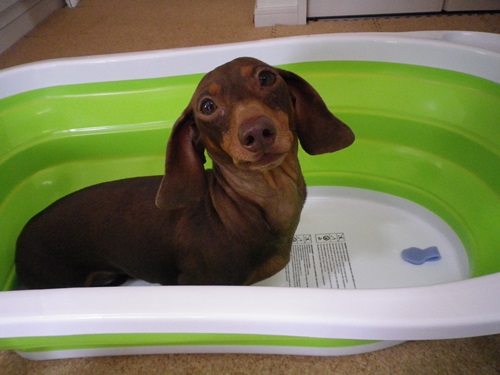 シュミレーション中