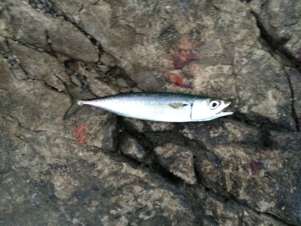 rblog-20141026024542-02.jpg