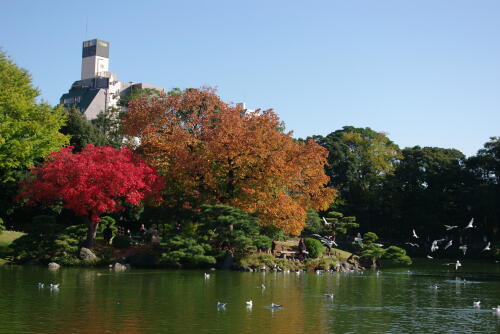 清澄庭園